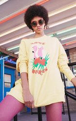 Pull route oiseaux d&#39;amour | Canari - Wildfox